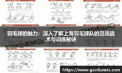 米兰体育官网