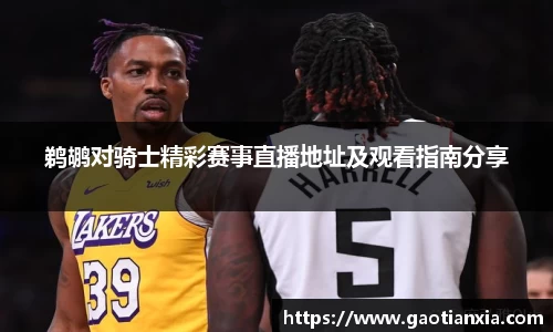 鹈鹕对骑士精彩赛事直播地址及观看指南分享