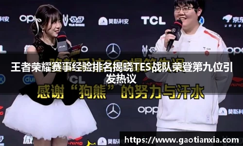 王者荣耀赛事经验排名揭晓TES战队荣登第九位引发热议